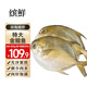 繽鮮 新鮮海捕金鯧魚(yú) 大鯧魚(yú)海鮮平魚(yú)冷凍扁魚(yú)冰鮮大鯧魚(yú)海魚(yú)銀魚(yú) 【500-600克/條】 凈重 共4條