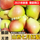 桃西村  山西運(yùn)城新鮮七月紅梨子青啤梨半邊紅梨現(xiàn)摘當(dāng)應(yīng)季水果香酥軟糯 4.5斤 【中果】高，經(jīng)濟(jì)實(shí)惠