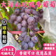 拉爾莊園【順豐】山東青島大澤山玫瑰香葡萄 新鮮現(xiàn)摘葡萄 4斤