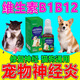 狗狗維生素b1b12貓咪后腿髕骨無(wú)力神經(jīng)炎瘸腿專(zhuān)用寵物神經(jīng)修復液 3瓶 【寵物救星】