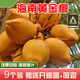 果益壽海南去皮椰青【閃送到家】清甜新鮮椰子孕婦水果補(bǔ)羊水嫩青椰 黃金帶皮椰子-單果2.6-4斤左右 9個(gè)【送開椰器+吸管】
