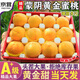 四叔公果蔬山東蒙陰黃桃【閃送】黃金蜜毛桃蟠桃新鮮水果脆甜桃子中秋禮物 S+典藏級(jí)｜30年老樹【蕞甜】 5斤裝（實(shí)惠劃算-嘗鮮裝）凈4.5