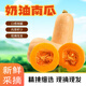 陜西早熟奶油南瓜味道香甜濃郁細膩的口感產(chǎn)地直發(fā) 【店長(cháng)推薦】奶油南瓜 4.8- 5斤
