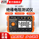勝利儀器（VICTOR）電子搖表絕緣電阻儀數字兆歐表 絕緣儀1000V/2500V絕緣電阻表?yè)u表 VC60B+絕緣(5000MΩ 1000V )