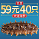 皇家麒麟 即食海參 即食大連刺參單個裝遼刺參海參干貨水產(chǎn)禮盒凈含量500g 7A即食海參 31-40只/斤 一斤裝