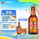 青島啤酒（TsingTao）精釀小棕金 拉環(huán)瓶蓋設(shè)計 258ml*12瓶 整箱裝