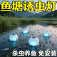 艾美諾太陽(yáng)能殺蟲(chóng)燈戶外滅蚊燈庭院滅蟲(chóng)燈防水滅蒼蠅燈果園誘蟲(chóng)燈養(yǎng)魚(yú)燈 1個(gè)【小池塘適用】