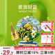 森寶積木花語(yǔ)旋音唱片機(jī)男生女生拼裝玩具擺件生日禮物611099