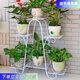 庭百盛鐵梨花歐式鐵藝花架多層落地式花架子綠蘿吊蘭陽(yáng)臺花盆架 大號七層【加粗白色】