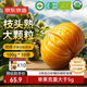 京東京造有機(jī)板栗仁1000g(100g*10袋)山姆同款甘栗仁皇家栗子零食禮物送禮