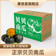 果悠喜 正宗貝貝南瓜 粉面香甜小南瓜 新鮮蔬菜香甜軟糯產(chǎn)地直發(fā) 【熱賣爆款】凈重 4.5斤 3-8個