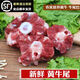 牛尾骨新鮮整根原切牛尾巴帶肉牛尾巴黃牛牛尾巴骨頭燉鹵健康 原切牛尾骨2000g
