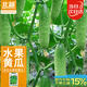 北蔬 水果黃瓜種子苗青瓜夏盆栽菜籽 卓脆濰胖二號(hào)水果黃瓜種子100粒