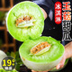 【正宗頭茬玉菇甜瓜】冰淇淋甜瓜香瓜5斤 現(xiàn)摘當(dāng)季水果香甜軟軟糯 9斤裝（2-5個）| 自然熟好瓜