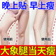 瘦腿神器大腿粗腿減大象腿瘦腿貼小腿粗腿燃脂專用美腿減肥燃脂貼 一盒【體驗(yàn)裝】建議按療程使用