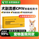 萌格犬副流感CPIV犬窩咳病毒檢測卡試紙條膠體金寵物狗犬發(fā)熱流涕咳嗽1條/盒