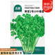 北蔬 小葉香菜種子種苗濃香芫荽四季蔬菜籽 寒圣1號小葉香菜種子250g