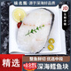 鱈魚(yú)中段新鮮特大深海鱈魚(yú)塊銀鱈魚(yú)冷凍大西洋真鱈魚(yú)片生鮮魚(yú)類(lèi) 五塊凈重 1500g 五盒