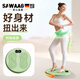 颯望【德國】扭腰盤轉(zhuǎn)盤美腰器智能計(jì)數(shù)機(jī)按摩健身家用塑腰運(yùn)健身器材 元?dú)饩G【計(jì)數(shù)款】