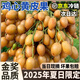 甜萌果蔬【JD/順豐】廣東雞心黃皮果 黃皮酸甜郁南孕婦新鮮水果送禮 5斤【9A手挑甄品果】送禮優(yōu)選裝 凈4.5斤