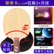 斯帝卡（Stiga）乒乓球拍底板cl cr乒乓球底板斯蒂卡wrb七層純木進(jìn)攻型直板橫板 【直拍】CLCR+狂飆3+銀河月球
