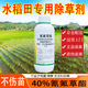 氰氟草酯水稻田苗后專用除草劑禾本科雜草稗草千金子專殺正品農(nóng)藥 100g 100瓶【整箱更劃算】
