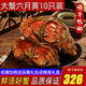 【活蟹】陽澄清歆大閘蟹 鮮活特大螃蟹公蟹母蟹 海鮮水產(chǎn)生鮮禮盒 大蟹六月黃3.5-3.8兩 八只禮盒裝