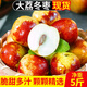 崠鮮陜西大荔冬棗新鮮應(yīng)當(dāng)季新鮮水果大棗脆甜青棗整箱鮮棗 中果 凈重5斤