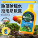 大禹德邦魚缸除藻劑不傷魚去除藻除青苔除苔劑除綠藻去黑毛藻褐藻