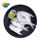 三都港 冷凍東海銀鯧魚凈重450g/3條裝 平魚 海魚生鮮魚類 燒烤