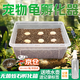 渠辰蛭石烏龜孵化烏龜孵化箱烏龜?shù)胺趸飨錇觚數(shù)胺趸鳛觚敺趸?S碼孵化器1套（適合6個蛋） 【操作方便，可重復(fù)使用）