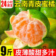 正宗云南青皮無籽蜜桔9斤新鮮水果酸甜多汁沃柑橘子薄皮金桔柑橘Y 3斤 小果【單果60mm以下】