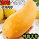 星派果（XINGPAIGUO）正宗海南金煌芒果10斤新鮮熱帶當(dāng)季青甜心青大芒果黃皮水仙芒果 金煌芒    5斤【大果】