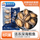 崇鮮鮮活深海鮑魚(yú)活凍大鮑魚(yú) 鮮活冷凍生鮮貝類 水產(chǎn)海鮮火鍋燒烤食材 220g 凈重【12頭規(guī)格】1袋（8只/袋）