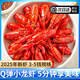 GUO LIAN麻辣小龍蝦整蝦2025年新蝦鮮活小龍蝦3-5錢(qián)750g  凈蝦400g 750g 十三香 小龍蝦*1盒-25年新蝦