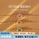 伊彩珠寶 18k金鉆石碧璽手鏈女 1克拉生日禮物送女友愛人 黃碧璽手鏈
