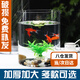 茨格曼圓柱形魚缸一體缸辦公桌面養(yǎng)魚缸迷你小型玻璃鋼烏龜缸家用金魚缸 透明 20直徑*30高CM