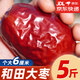 問君 新疆紅棗和田精選大棗蜜餞果干煮粥煲湯駿棗送禮禮品 超大雞蛋棗【6cm+】500g*5袋