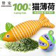贊寵貓薄荷魚貓玩具貓咪逗貓棒磨牙棒自嗨解悶神器磨牙小貓幼貓寵物