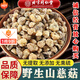 北京同仁堂山慈菇野I生中藥材500·g正宗新貨冰球子山慈姑茅毛慈菇山茨菇粉 野生山慈菇50··克