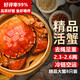 【活蟹】湖鮮陽(yáng)澄 大閘蟹 去繩足重 2.3-2.6兩 8只 鮮活六月黃現貨超大螃蟹水產(chǎn)禮盒裝