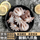 新鮮八爪魚迷你小章魚鮮活冷凍短腿章魚足小八爪 500g /袋 500克(凈重)  鮮凍小八爪【3斤】