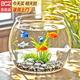 貝初眾魚缸小魚缸烏龜生態(tài)缸圓形塑料一體家用型桌面金魚缸自循環(huán)免換水 輕巧高透魚缸 24*18.5*19.5cm【大號(hào)】 高透pet仿玻璃材質(zhì) 裸缸 打不破 摔不碎 久用不糊