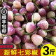 辰實(shí)【現(xiàn)摘發(fā)順豐】七彩椒現(xiàn)摘 廣西新鮮五彩椒 燈籠椒小辣椒 3斤 【新鮮七彩椒 現(xiàn)摘現(xiàn)發(fā)】