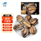 靈略 福建鮮凍大鮑魚 凈重400g 8粒盒裝 鮑魚火鍋燒烤  貝類海鮮 生鮮