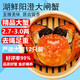 【活蟹】湖鮮陽澄 大閘蟹 去繩足重 2.7-3.0兩 12只 鮮活六月黃現(xiàn)貨超大螃蟹海鮮禮盒裝
