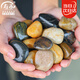 壽禾 鵝卵石石頭大塊水族箱魚缸盆栽裝飾鋪路 2-4cm天然精拋鵝卵石1kg