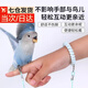 賈恩斯 鸚鵡放飛繩不傷腳超輕訓(xùn)練繩虎皮玄鳳牡丹腳環(huán)腳鏈脖套遛鳥飛行 2米天空藍(lán)-牡丹大頭虎皮等鸚鵡