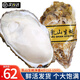 尚致生蠔鮮活特大海蠣子牡蠣?zhēng)湫迈r牡蠣肉 生鮮貝類 3XL凈重4斤【12-15個(gè)】實(shí)惠裝