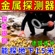 ANENG2025新款進(jìn)口金屬探測器地下尋寶儀手持高精度能探10米深找金銀銅 國產(chǎn)芯片 可探1米【送電池】